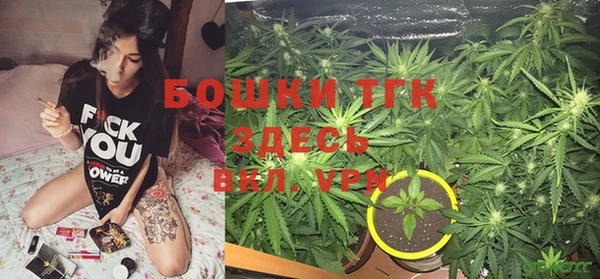 тгк Верея