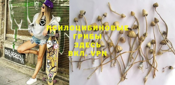 хмурый Верхний Тагил