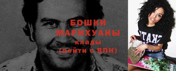 тгк Верея