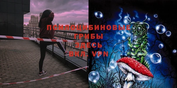 хмурый Верхний Тагил