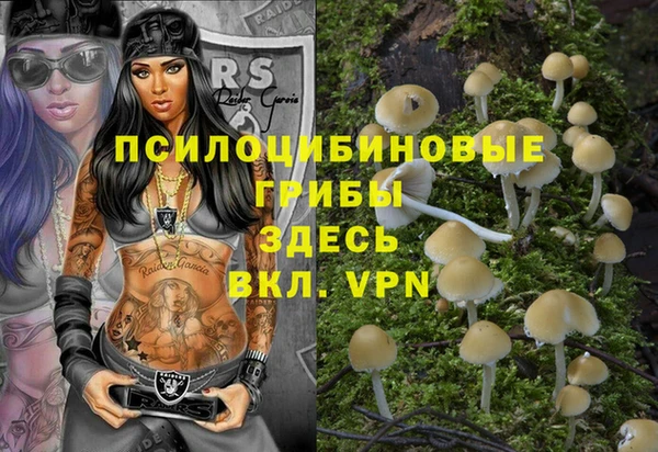 Альфа ПВП Верхнеуральск