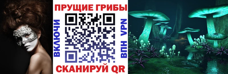 KRAKEN ТОР  купить  сайты  Копейск  Псилоцибиновые грибы Cubensis 